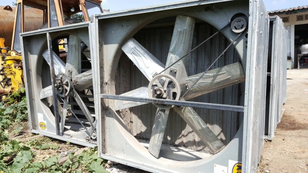 พัดลมอีแว๊ป 50 นิ้วมอเตอร์ABB 1 แรง 3 สายของKSP สวยๆตัวที่ 2