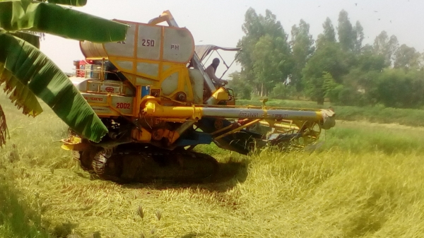 ขายรถเกี่ยวข้าว