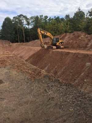 ขาย CAT320C ขาย CAT320C