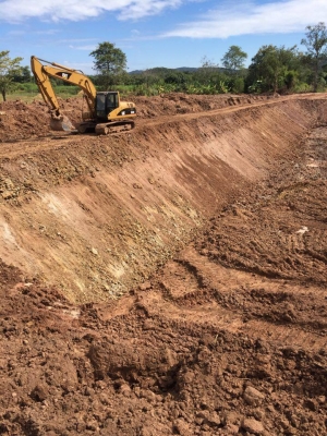 ขาย CAT320C ขาย CAT320C