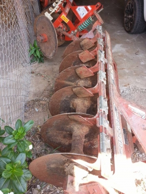 22&times;6 พร้อมใช้ โคลงดี ใบงาม คัดท้ายแน่น ราคา 23,700 บาท ต่อรองได้ครับ กันทรลักษ์ ศรีสะเกษ โทร.0816004753 ครับ..