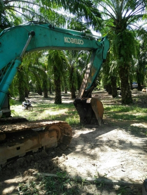 ขาย!! >>> Kobelco Sk200 Mark6 Yn10 Super จัดไฟแนนซ์ได้ <<< เบอร์ติดต่อ 098-7155789 ขาย!! >>> Kobelco Sk200 Mark6 Yn10 Super จัดไฟแนนซ์ได้ <<< เบอร์ติดต่อ 098-7155789