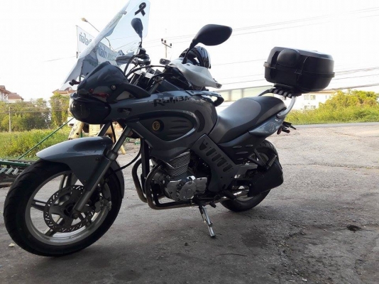 ขาย GUSTO GT200 RUMBA 2013