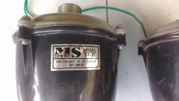 ขายยูนิตฮอร์นแพ็คคู่