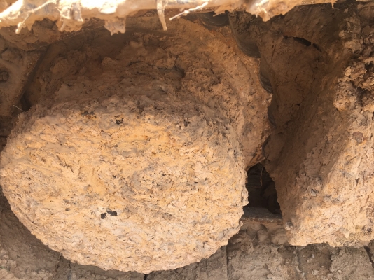 ขาย 795,000 KOBELCO SK200 MARK 5 SUPER เครื่องดี ปั้มแรง โช่หนา เอวแน่น ไฟฟ้าครบ เอกสารเล่มทะเบียน รถอยู่ จ.สุรินทร์ โทร&ไอดีไลน์ 0610710295 ขาย 795,000 KOBELCO SK200 MARK 5 SUPER เครื่องดี ปั้มแรง โช่หนา เอวแน่น ไฟฟ้าครบ เอกสารเล่มทะเบียน รถอยู่ จ.สุรินทร์ โทร&ไอดีไลน์ 0610710295