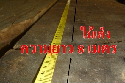 ขายไม้เต็ง ยกเหมา 22 แผ่น(เจ้าของขายเอง)