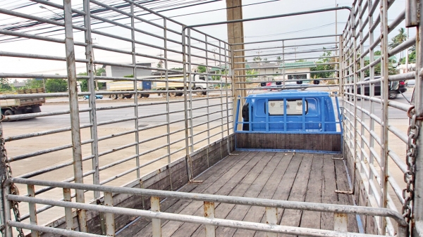 ISUZU ตัวการ์ตูน 120 แรงม้า รถห้างยาวห้าเมตร พร้อมคอก