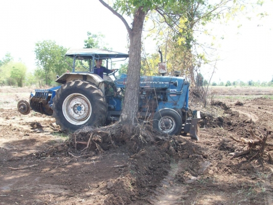 ขายฟอร์ด 5000 สภาพสวย พร็อมใช้งาน ดันหน้า CMT หลัง PT ขายฟอร์ด 5000 สภาพสวย พร็อมใช้งาน ดันหน้า CMT หลัง PT
