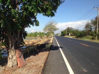 ขายที่ดินศาลายา-นครอินทร์