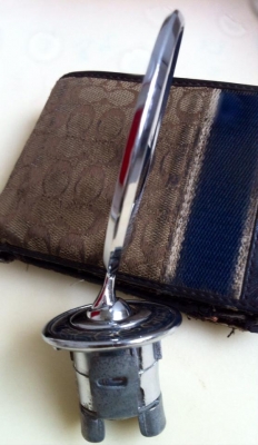 ดาวลอยกระโปรงหน้าเบนซ์ ช่อมะกอกดำ