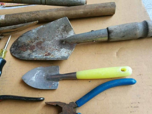 550 บ. ส่งฟรี083-2000058  LINE ID: line832923 A.38   ชุดเครื่องมืองานทำสวนต่างๆ 11 ชิ้น - เคียวโค้งคม 2 อัน (ต้องเปลี่ยนด้ามใหม่ 1 อัน ) - -คราดคม - พลั่วแทงดิน 2 อัน - กรรไกร - กรรไกรตัดแต่ง - ไขควงต่อสวมด้าม 9 อัน - คีมเอนกประสงค์ 2 อัน - ประแจเลื่