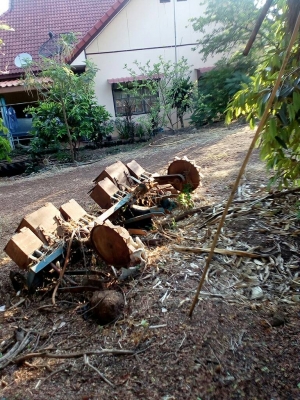 รถไถฟอร์ด 6610 T3 อุปกร ผานดันหน้า+ ผาน7+ผานบุกเบิก+ เครื่องปลุกข้าวโพด รถมือเดียวป้ายแดง มีเล่มทะเบียน ราคา 300000 บาท ดูรถที อ. กันทราลัก จ.ศรีสะเกษ สอบถามทีเบอร์ วันทูคอล 098 668-3479 dtac 094 283-9369 สิทธิ์ คับ รถไถฟอร์ด 6610 T3 อุปกร ผานดันหน้า+ ผาน7+ผานบุกเบิก+ เครื่องปลุกข้าวโพด รถมือเดียวป้ายแดง มีเล่มทะเบียน ราคา 300000 บาท ดูรถที อ. กันทราลัก จ.ศรีสะเกษ สอบถามทีเบอร์ วันทูคอล 098 668-3479 dtac 094 283-9369 สิทธิ์ คับ