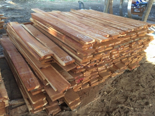 ขายไม่ผ่านนายหน้า ไม้พื้นจริง1&quot;x6&quot;X90-210cm #ราคา1,600฿ต่อตรม.โทร0882033334