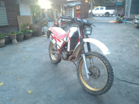 dt200 ทะเบียนแท้ dt200 ทะเบียนแท้