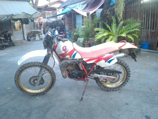 dt200 ทะเบียนแท้ dt200 ทะเบียนแท้