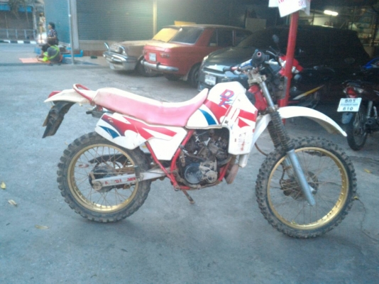 dt200 ทะเบียนแท้