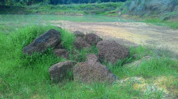 ขายดินลูกรังที่ดินมีโฉนด