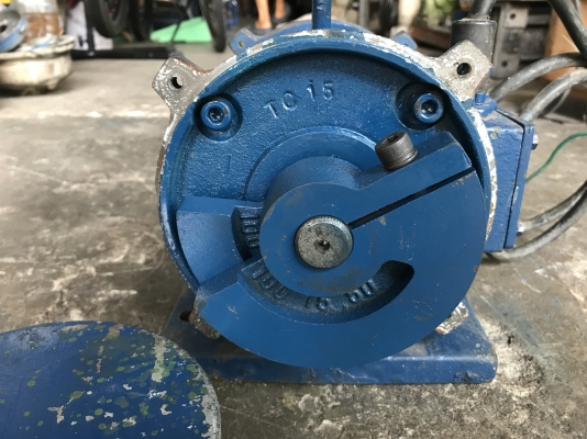 ขายมอเตอร์สั่น-เขย่า Tokyo Vibrating 0.5HP. 380V made in Japan สภาพสวยเดิมๆ วิ่งนิ่ม สั่นแรง พร้อมใช้งาน ขายมอเตอร์สั่น-เขย่า Tokyo Vibrating 0.5HP. 380V made in Japan สภาพสวยเดิมๆ วิ่งนิ่ม สั่นแรง พร้อมใช้งาน