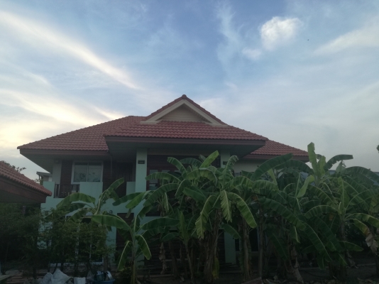 ขาย