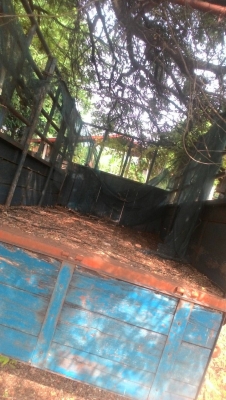 เทเลอร์ พวงรถไถ ราคา 35000 บาท วันทูคอล 098 668-3479 dtac 094 283-9369 สิทธิ์ คับ