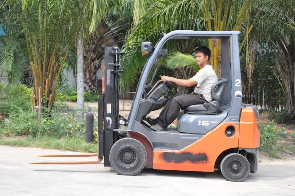 ขายFORKLIFT TOTOTA รุ่น8FG15รุ่นใหม่ล่าสุด เสาเข้าตู้ได้(1.5ตัน) สวยเดิมจากญี่ปุ่น ยังไม่เคยใช้ในไทย 185,000เท่านั้น!!