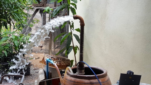 ขายปั๊มน้ำซัมเมิส   franklinใบพัดpedrollo  2  hp