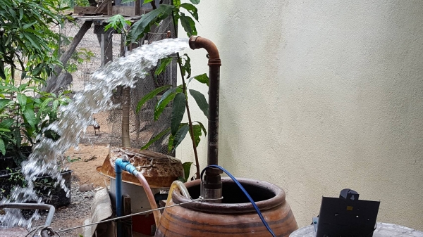 ขายปั๊มน้ำซัมเมิส   franklinใบพัดpedrollo  2  hp