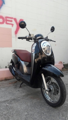 ขายHondaสกูปี้ไอ มีทะเบียนโอนได้เอกสารครบ ขายHondaสกูปี้ไอ มีทะเบียนโอนได้เอกสารครบ