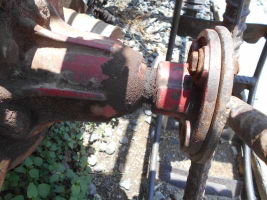 ขายตัวรุ้งเพชรครับตัวดีไม่มีหักครับ  081.0074646 อ่างทองครับ