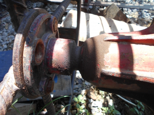 ขายตัวรุ้งเพชรครับตัวดีไม่มีหักครับ  081.0074646 อ่างทองครับ