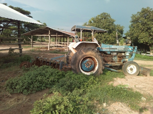 ขายฟอร์ด6600