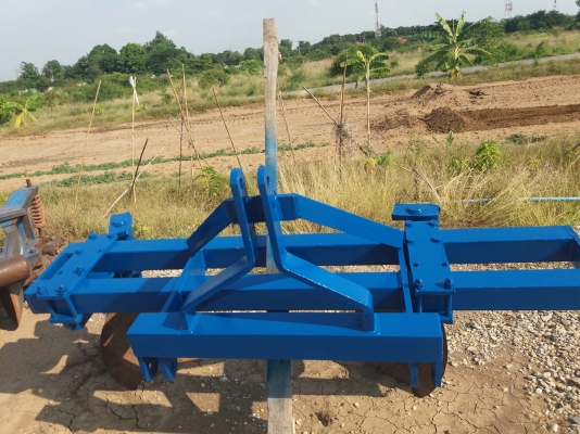 หางยกล่องศรีกำแพงแสน