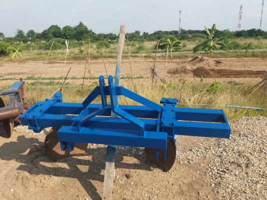 หางยกล่องศรีกำแพงแสน