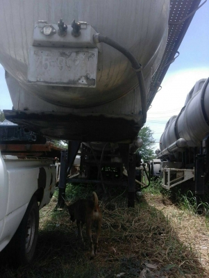 ขายพ่วงละ 350,000 หางพ่วงถังบรรจุกรดเกลือ 2 เพลา สภาพถังดี คัชซีสวย ยางพร้อมใช้เอกสารพร้อมโอน มี 3 หาง รถอยู่ กทม. 090-772-3710 090-772-3708