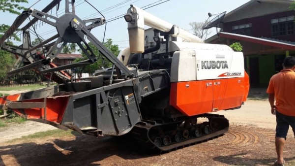 ขายคู่ 495,000 บาท   ขาย 465,000 บาท KUBOTA DC95GM 1800 ชม.  เล่มทะเบียน  ขาย 39,500 เทเลอรขึ้นรถเกี่ยว   รถอยู่ จ.อุบลราชธานี โทร&amp;ไอดีไลน์ 0610710295