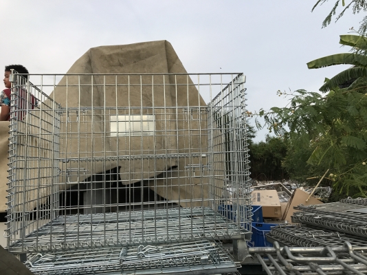 ขายตะแกรงเหล็กใส่ของในโรงงาน ถอดประกอบได้ ขนาดสูง 80cm. กว้าง 80cm. ยาว 100cm. สภาพสวยมาก มีหลายชุดครับ ขายตะแกรงเหล็กใส่ของในโรงงาน ถอดประกอบได้ ขนาดสูง 80cm. กว้าง 80cm. ยาว 100cm. สภาพสวยมาก มีหลายชุดครับ