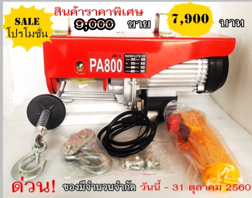 รอกสลิงไฟฟ้า PA-800 400/800 Kgs