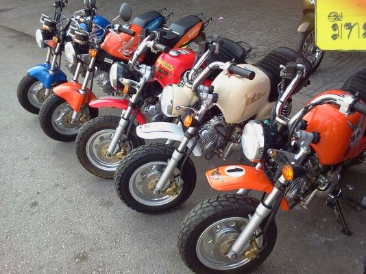 ขาย กอลิล่า  125cc.  สวยๆ