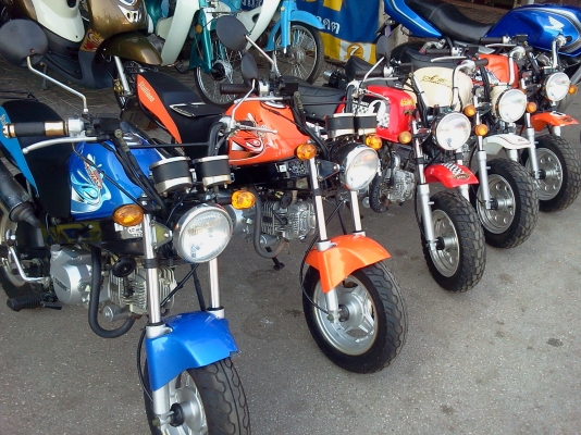 ขาย กอลิล่า  125cc.  สวยๆ