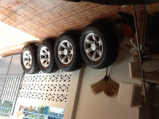 ขายแม็กเล็บเหยี่ยวครับ