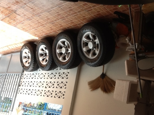 ขายแม็กเล็บเหยี่ยวครับ ขายแม็กเล็บเหยี่ยวครับ