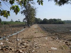 ขายที่ดิน   16    ไร่ พร้อมบ้าน  1  หลังใหญ่  ที่อำเภอ ท่าม่วง จังหวัด กาญจนบุรี