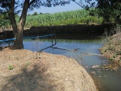 ขายที่ดิน   16    ไร่ พร้อมบ้าน  1  หลังใหญ่  ที่อำเภอ ท่าม่วง จังหวัด กาญจนบุรี