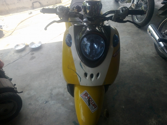 ลุงทุม หัวเขา   ติดต่อ 086  764   5698