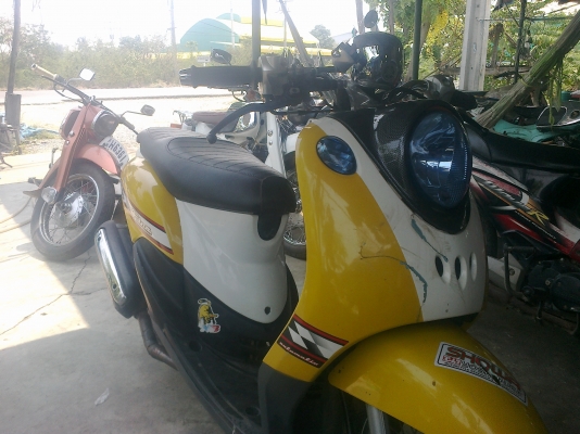 ลุงทุม หัวเขา   ติดต่อ 086  764   5698