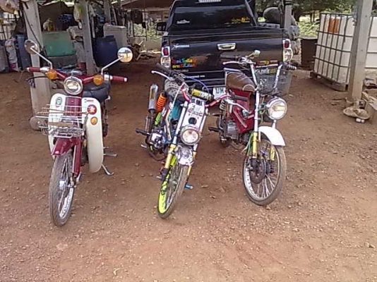 ขายc70สีแดง  ชาลีสีแดง