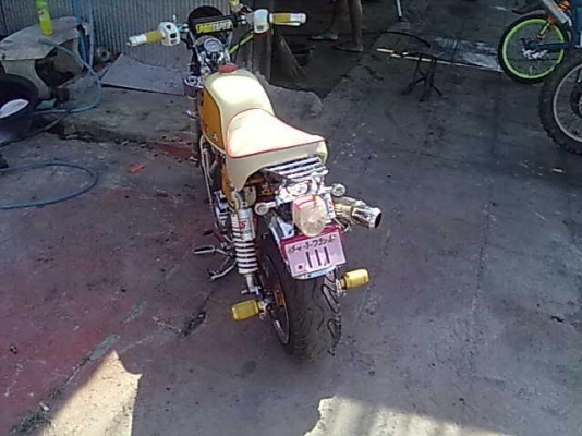 ขายกอลีล่าทะเบียน