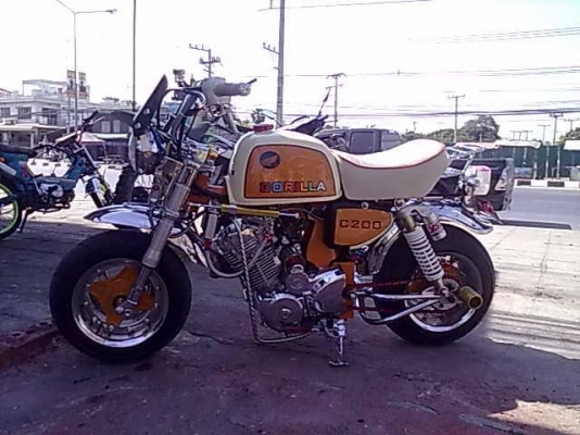 ขายกอลีล่าทะเบียน