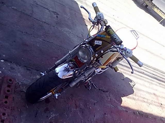 ขายกอลีล่าทะเบียน