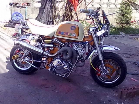 ขายกอลีล่าทะเบียน